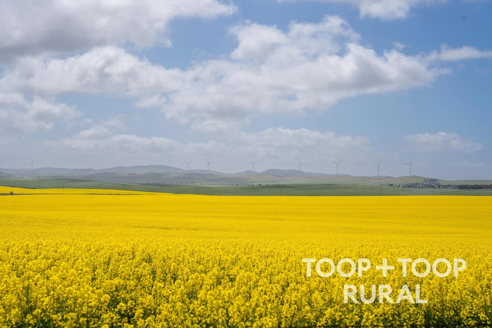 Hardings Road, Black Springs SA 5413