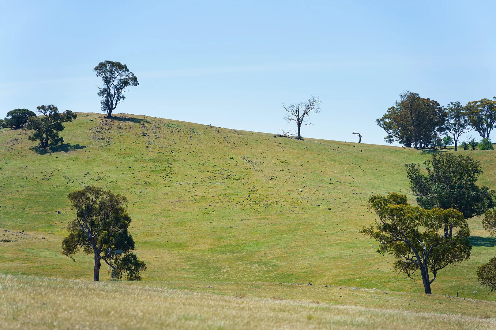 Additional image 7 of 186 Bells Reef Road, Maldon VIC 3463