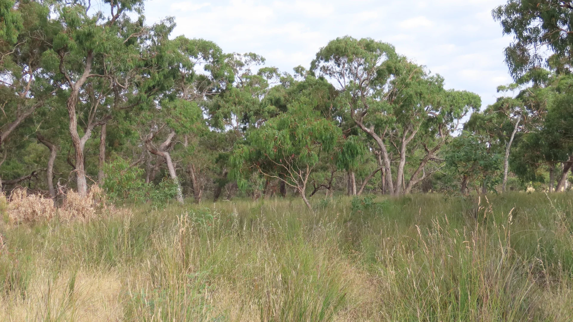 Additional image 29 of 110 Coote Rd, Moerlong SA 5278