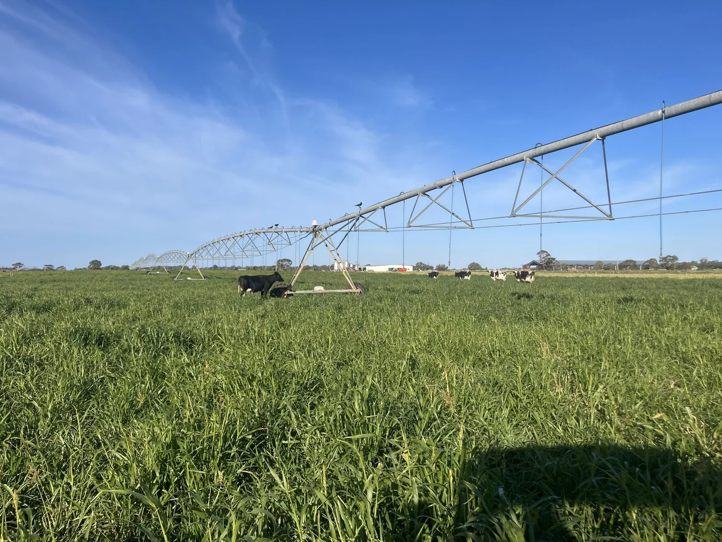 Additional image 3 of 5104B Murray Valley Highway, Castle Donnington VIC 3585