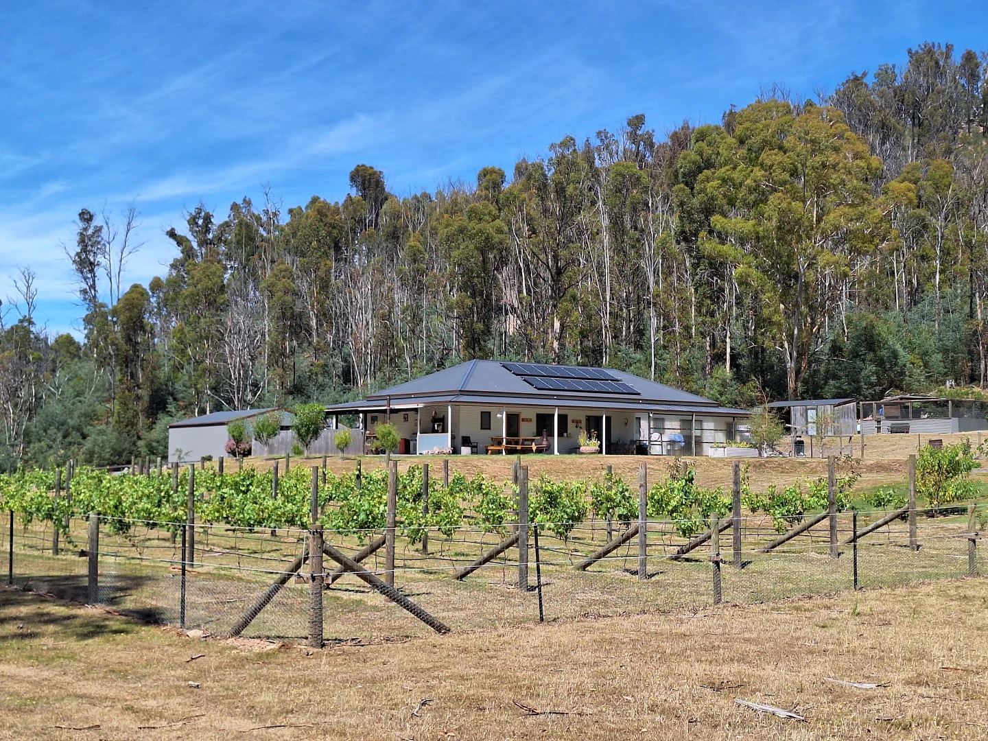 Additional image 2 of 141 Young Street, Mangana TAS 7214