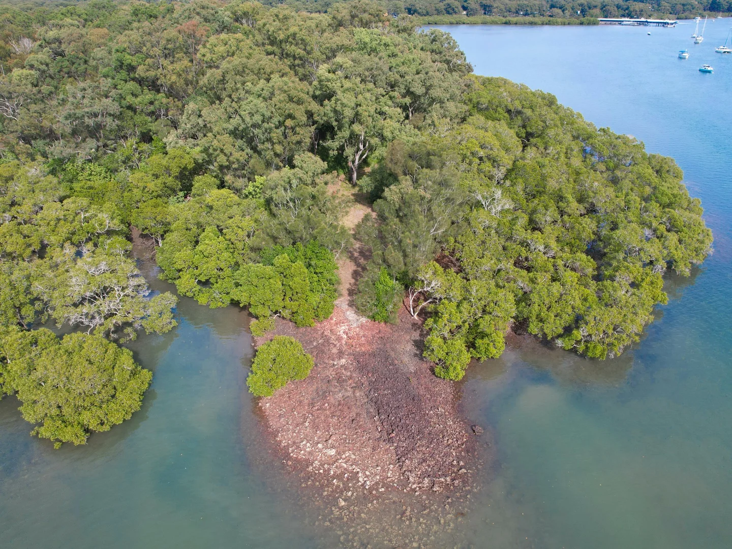 Additional image 9 of 56 Tenanne Street, Russell Island QLD 4184