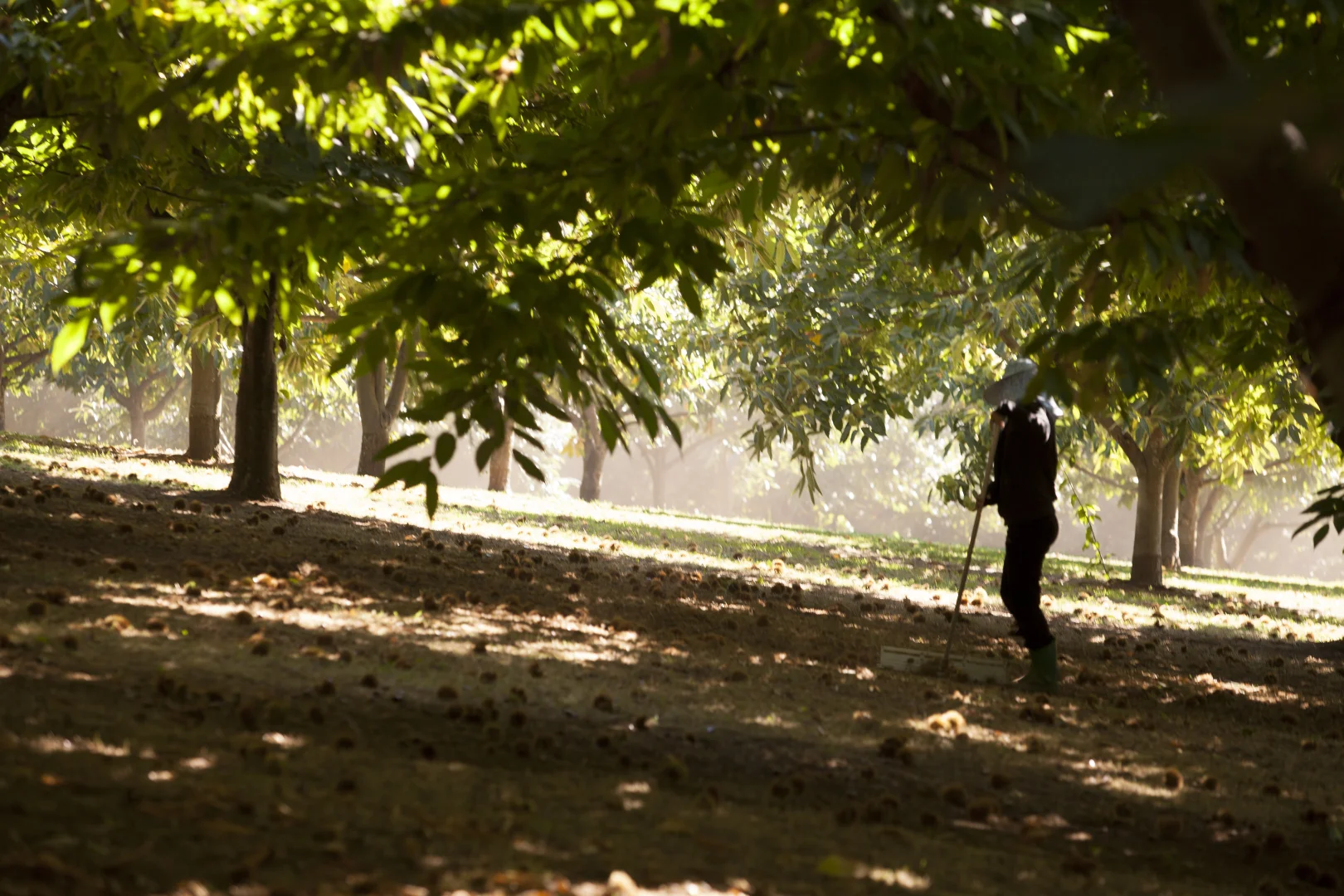 Additional image 40 of 192 Myrtleford-Stanley Road, Stanley VIC 3747