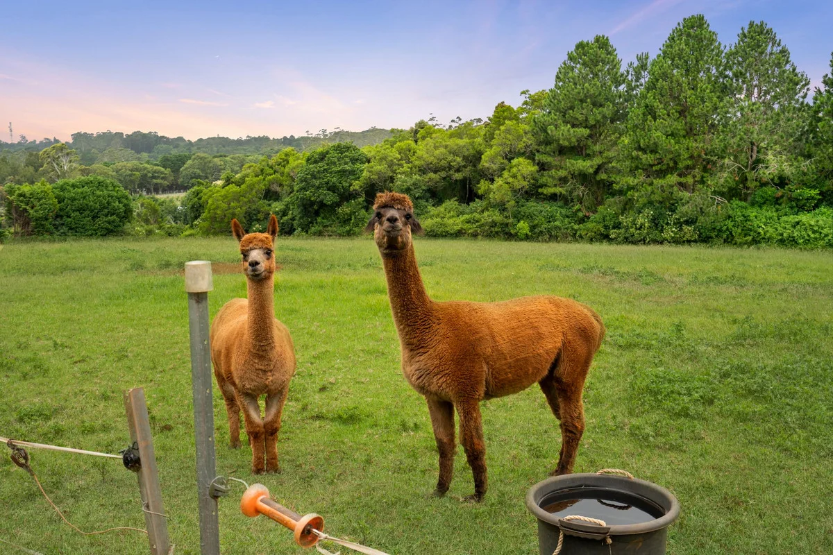 Additional image 15 of 34-72 West Road, Tamborine Mountain QLD 4272
