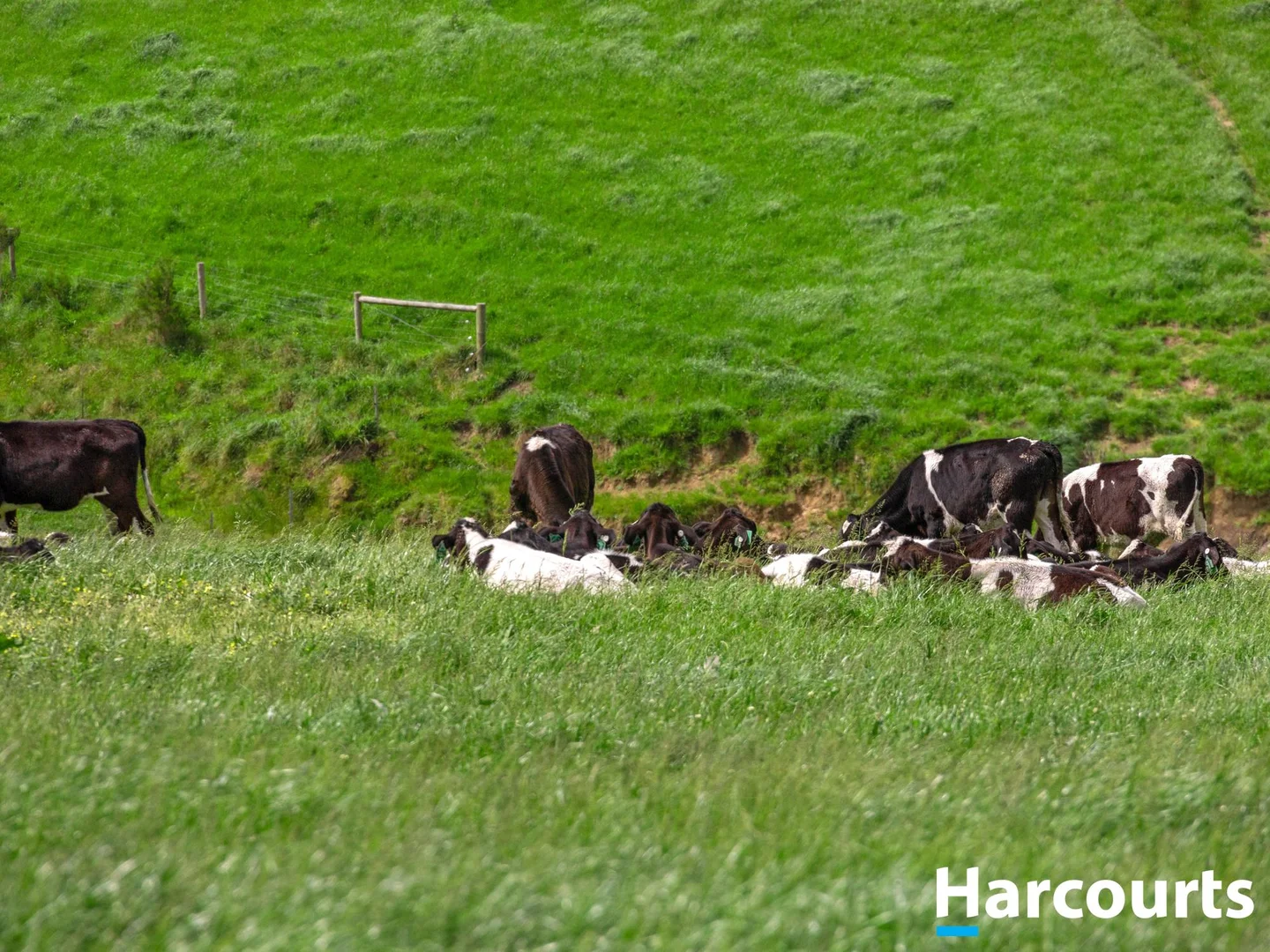 Additional image 36 of 975 Falls Road, Fish Creek VIC 3959