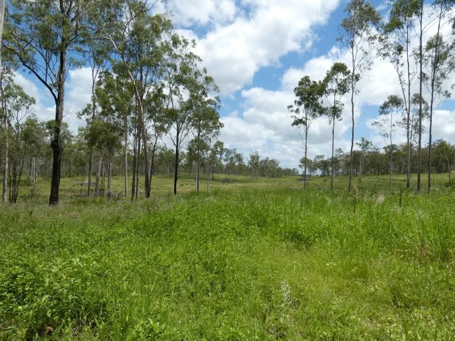Additional image 27 of Lot 43 Moolyung Road, Waterloo QLD 4673
