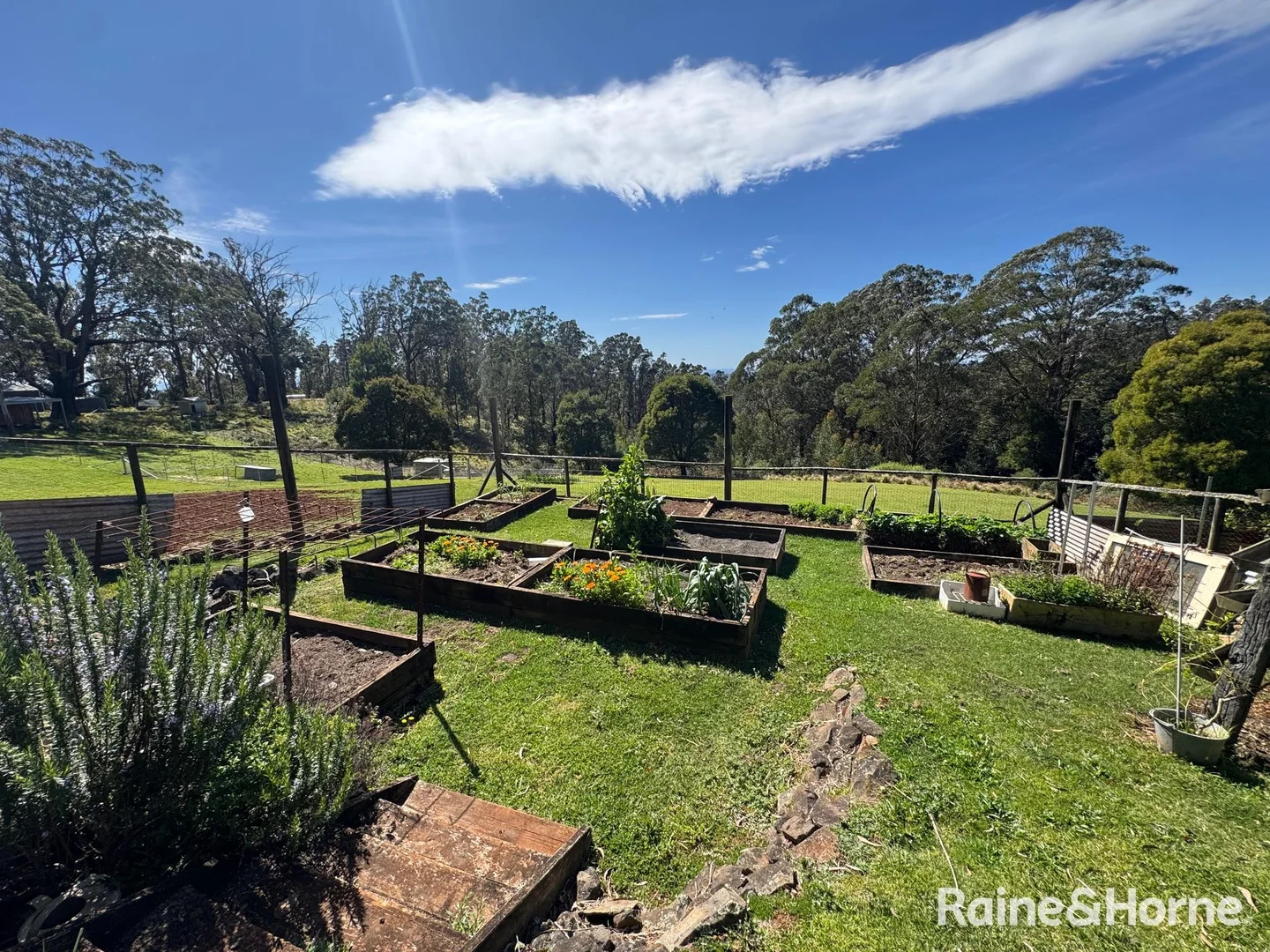 Additional image 7 of 36 Sturgiss Road, Sassafras NSW 2622