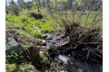 Additional image 35 of 4456 Mount Bullion Cut off Rd, Catheys Valley, CA, 95306