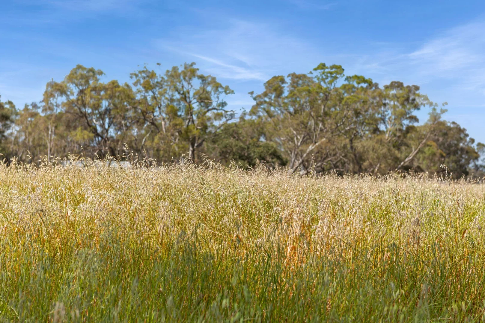 Additional image 10 of CA 15 & CA 16 Kellys Road, Kamarooka VIC 3570