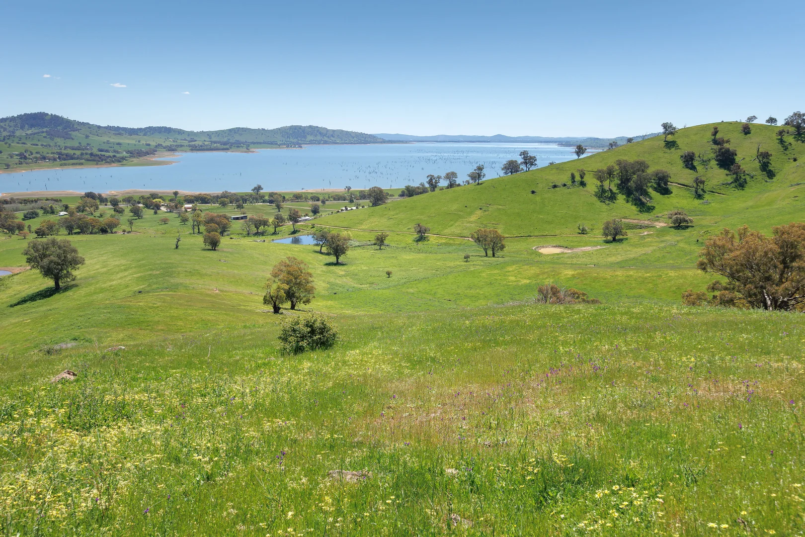 Additional image 53 of 1407 Murray Valley Highway, Huon VIC 3695