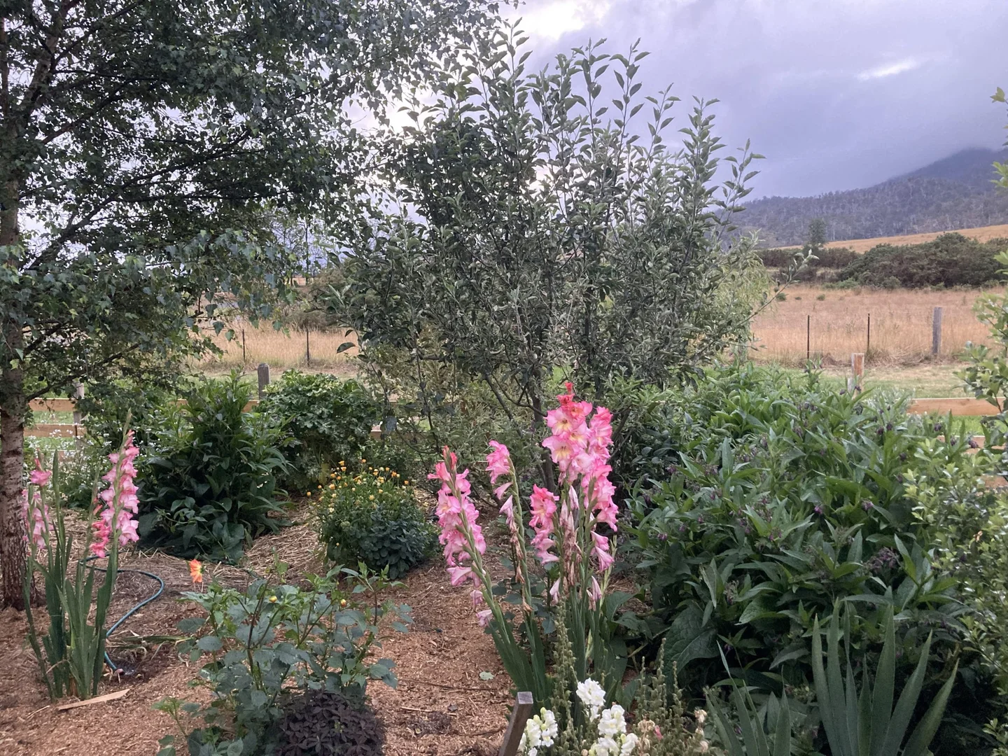 Additional image 24 of 7 Fleming Street, Fingal TAS 7214