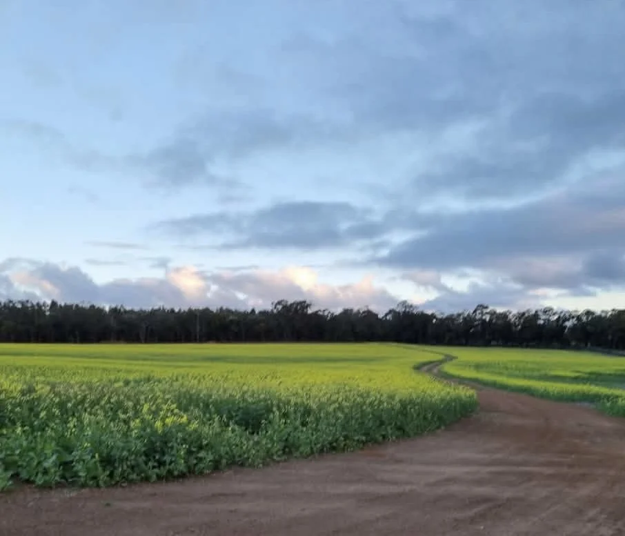 Additional image 19 of 647 Deep Creek Road, Kalgan WA 6330