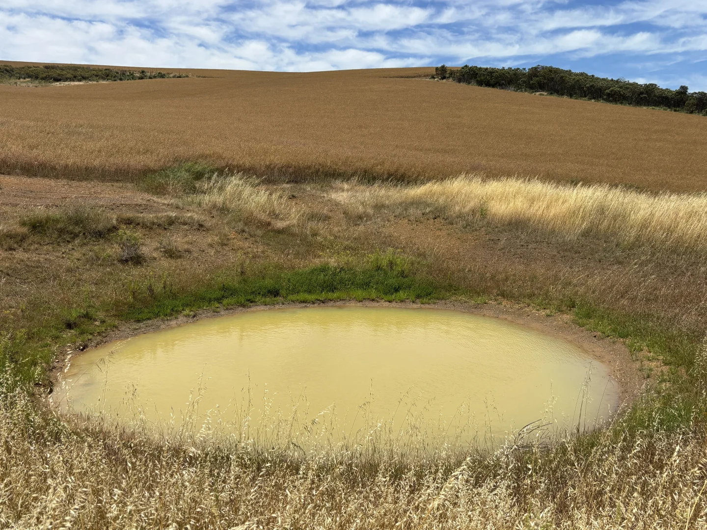 Additional image 20 of 251 Reservoir Drive, Whites Flat SA 5607