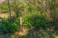 Additional image 11 of 21329 Birch Pl, Ocean Park, WA, 98640