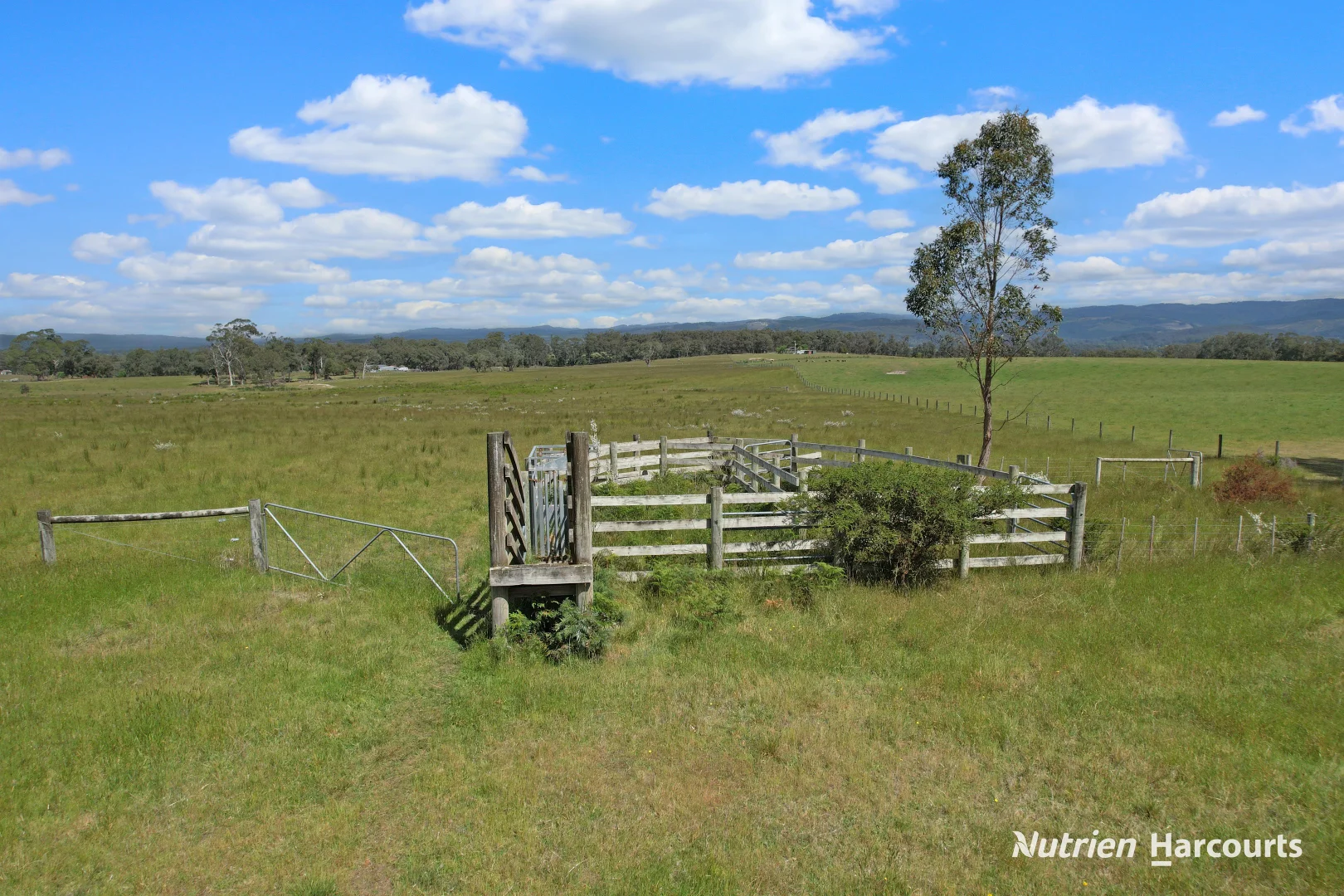 Additional image 2 of 5315 Hyland Highway, Won Wron VIC 3971