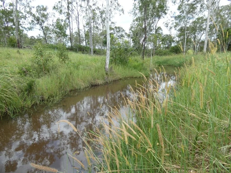 Additional image 15 of Lot 43 Moolyung Road, Waterloo QLD 4673