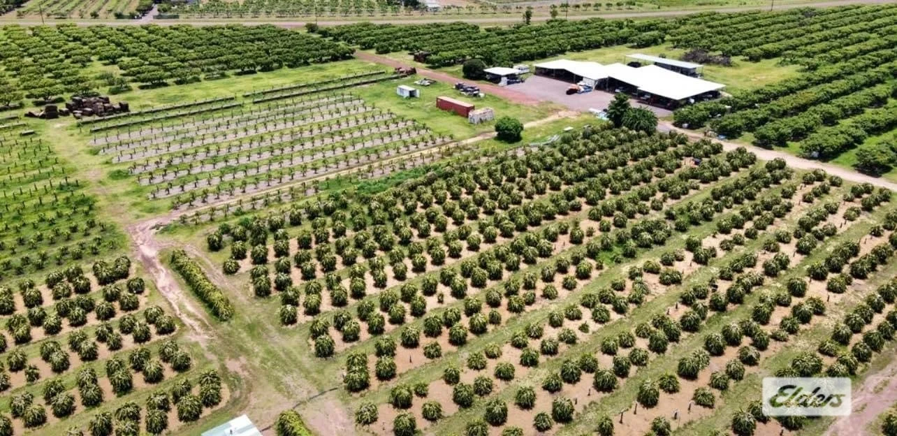 Additional image 23 of 125 Buckley Road, Lambells Lagoon NT 0822