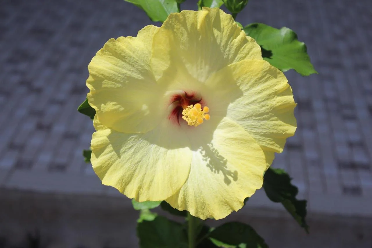 Additional image 13 of 145/61-79 Mandalay Avenue, Nelly Bay QLD 4819