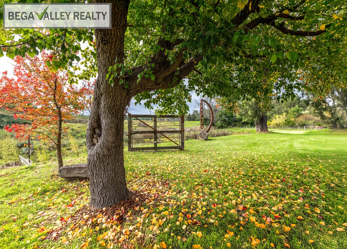 Additional image 35 of 1464 Cobargo Bermagui Road, Cobargo NSW 2550