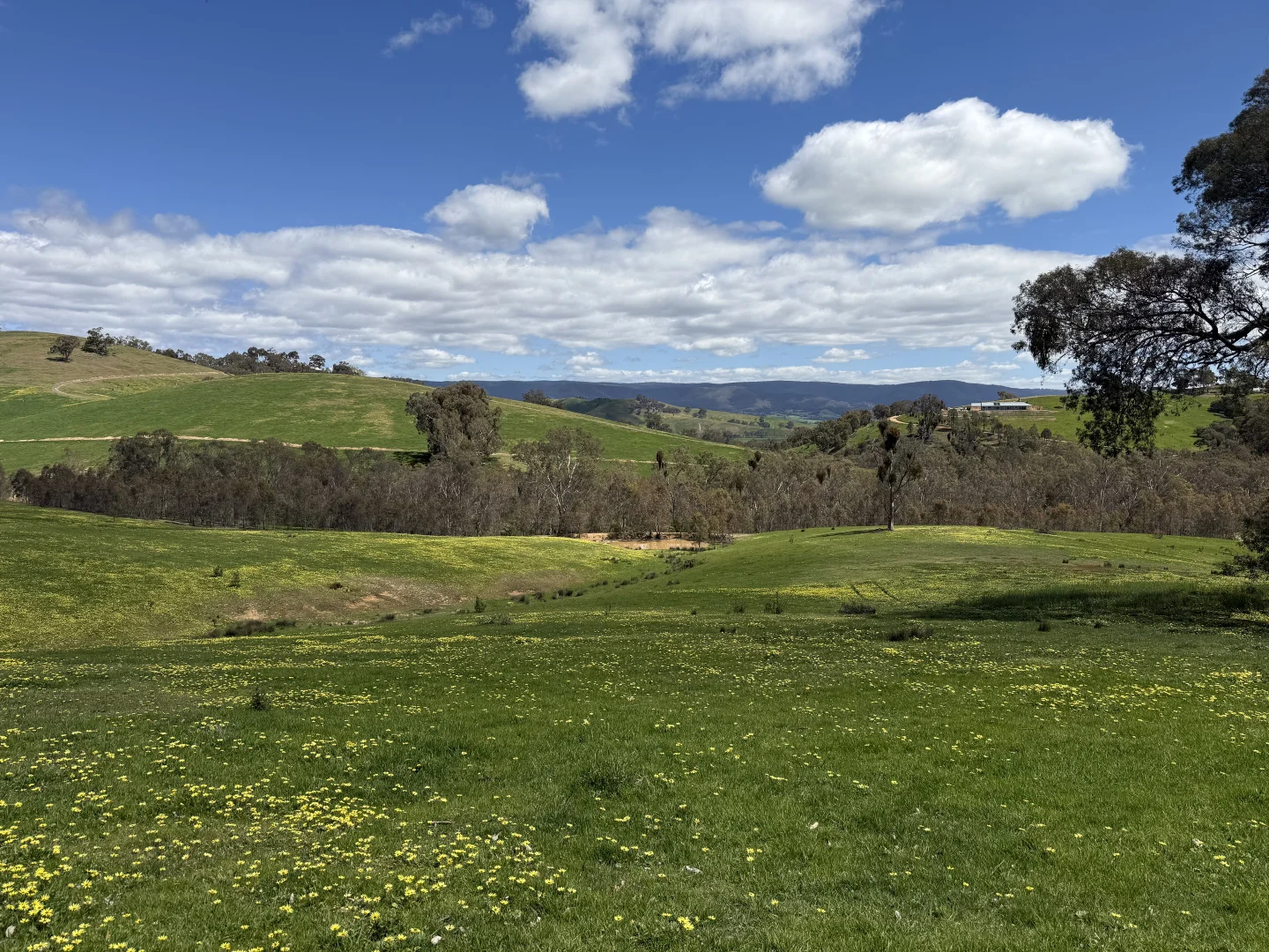 Additional image 4 of 85 Halls Flat Road, Alexandra VIC 3714