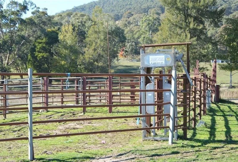 Additional image 6 of 95 Bago Forest Road, Tumbarumba NSW 2653