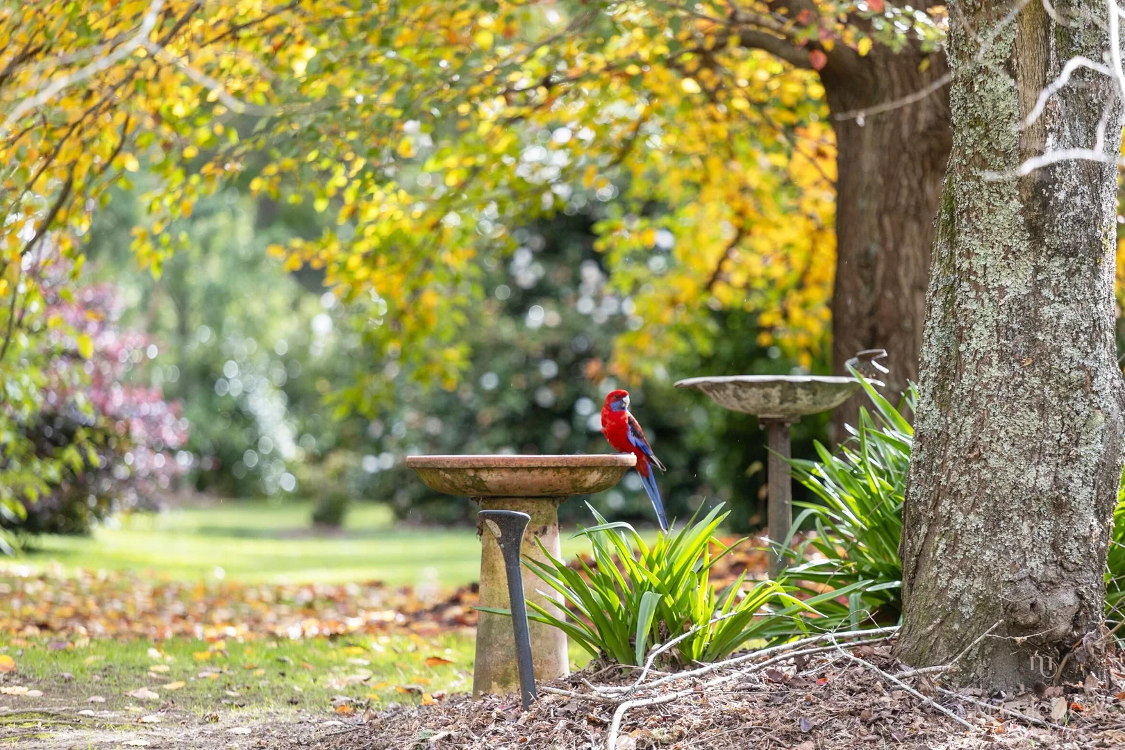 Additional image 20 of 1258 Belmore Falls Road, Wildes Meadow NSW 2577