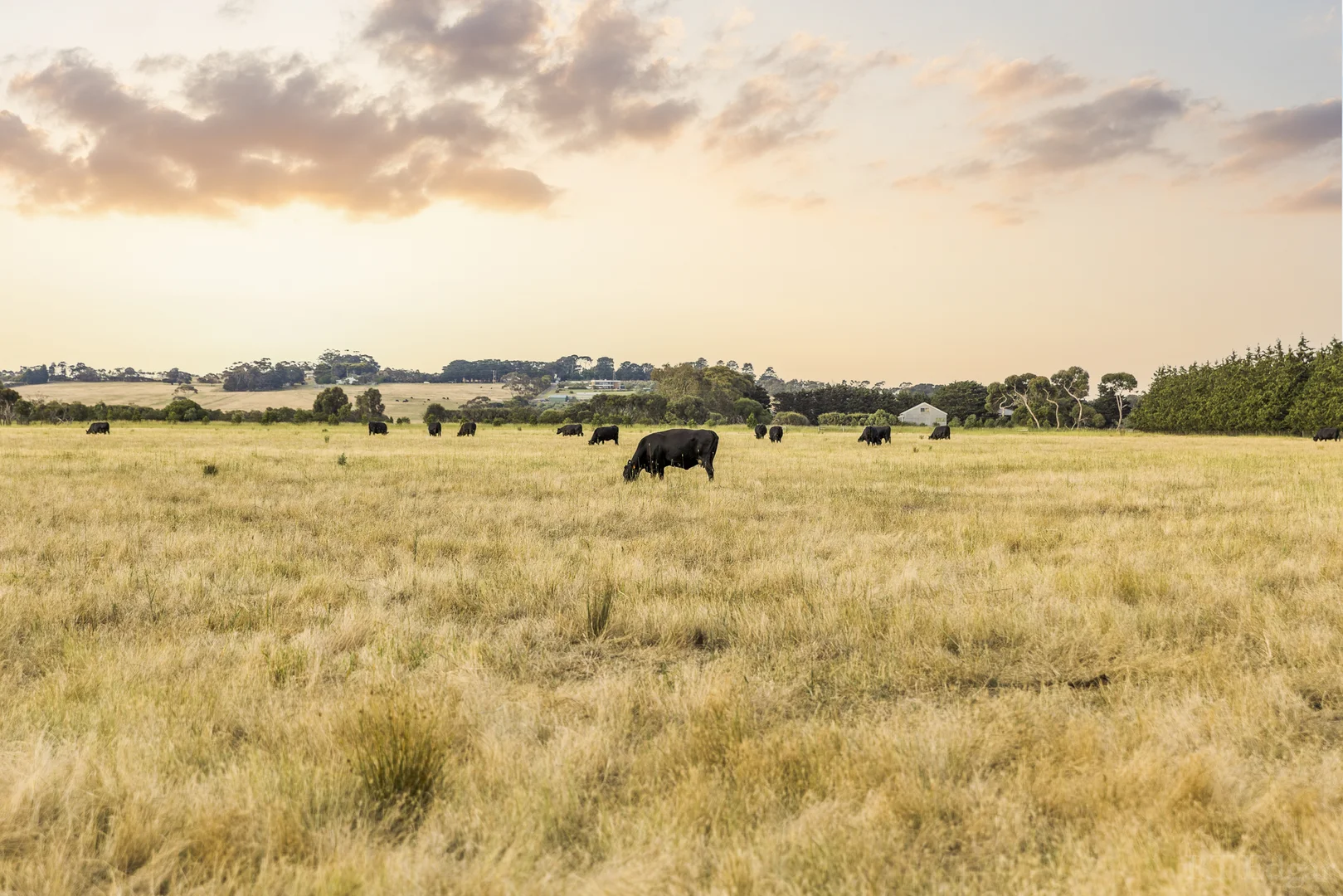 Additional image 28 of 1030 Surf Coast Highway, Mount Duneed VIC 3217