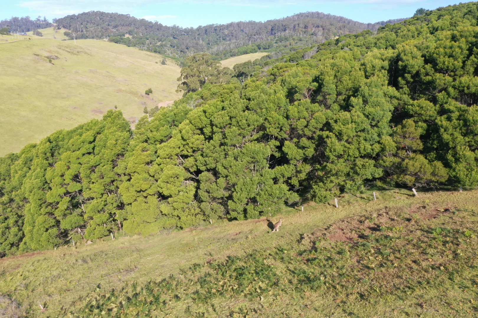 Additional image 22 of Lot 23 Fourter Road, Nethercote NSW 2549