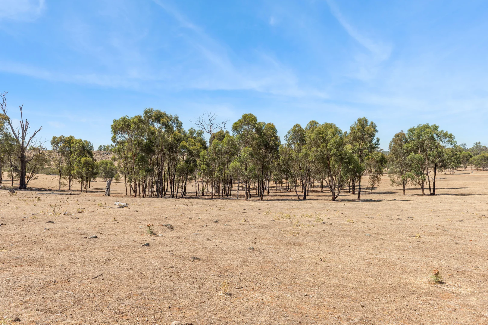 Additional image 5 of 2, 93 Axedale Quarry Road, Axedale VIC 3551