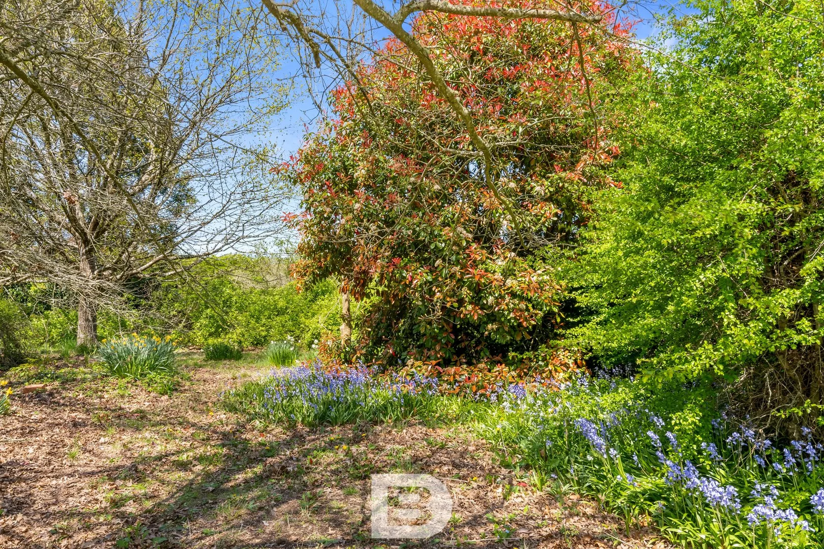 Additional image 4 of 8 Dickens Street, Woodend VIC 3442