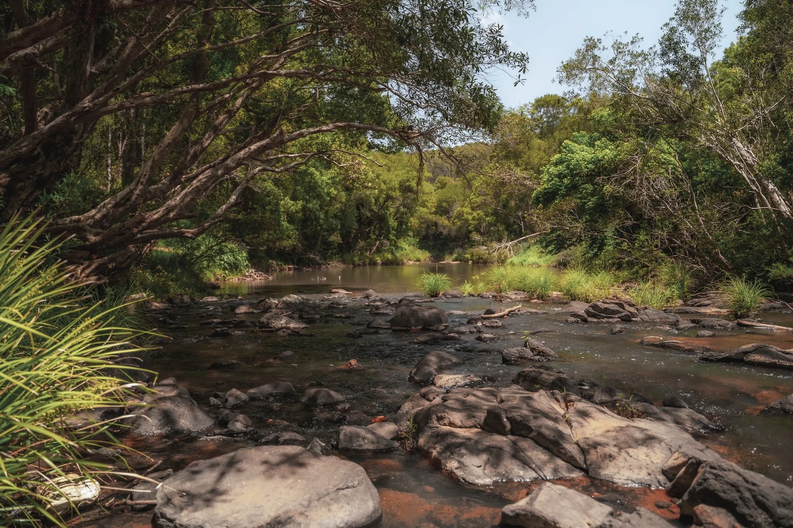 Additional image 22 of 315 Coorabell Road, Coorabell NSW 2479