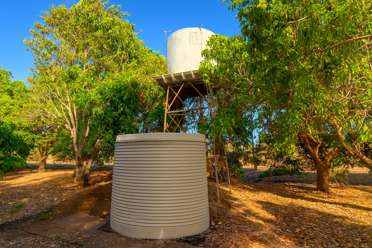 Additional image 35 of 600 South River Road, South Plantations WA 6701