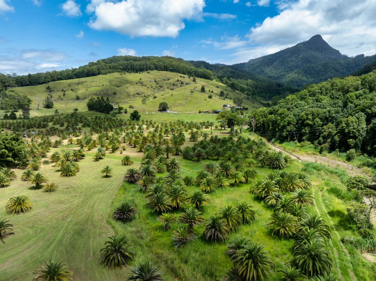 Additional image 6 of 50-52 Palmers Road, Terragon NSW 2484