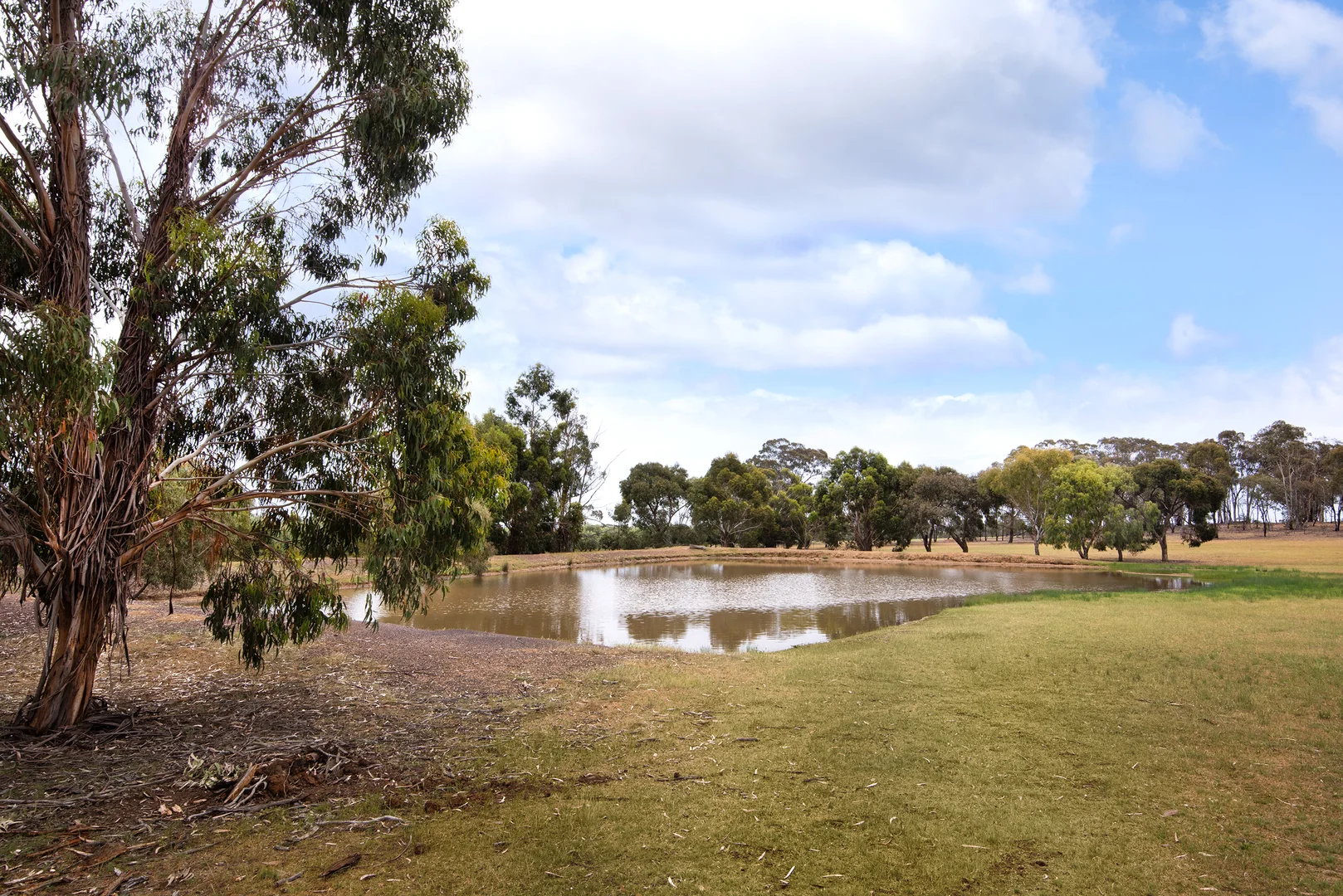 Additional image 24 of 234 Nixons Road, Shelbourne VIC 3515