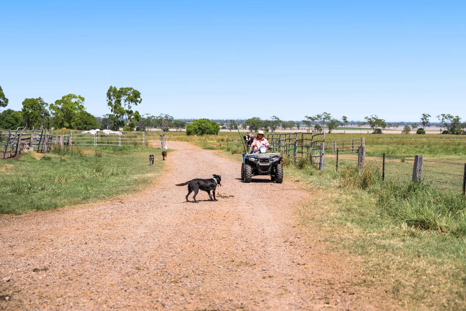 Additional image 27 of 'Ashby' 48 Felton View Road, Ellangowan QLD 4361