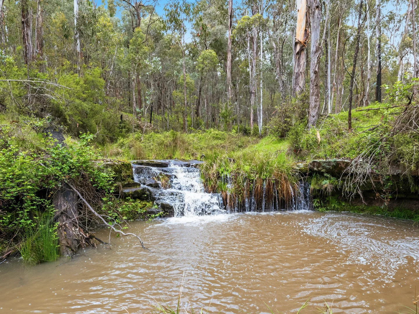 Additional image 28 of 829 Paradise Falls Road, Cheshunt VIC 3678