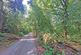 Additional image 4 of Bury Road, Rawtenstall, Rossendale