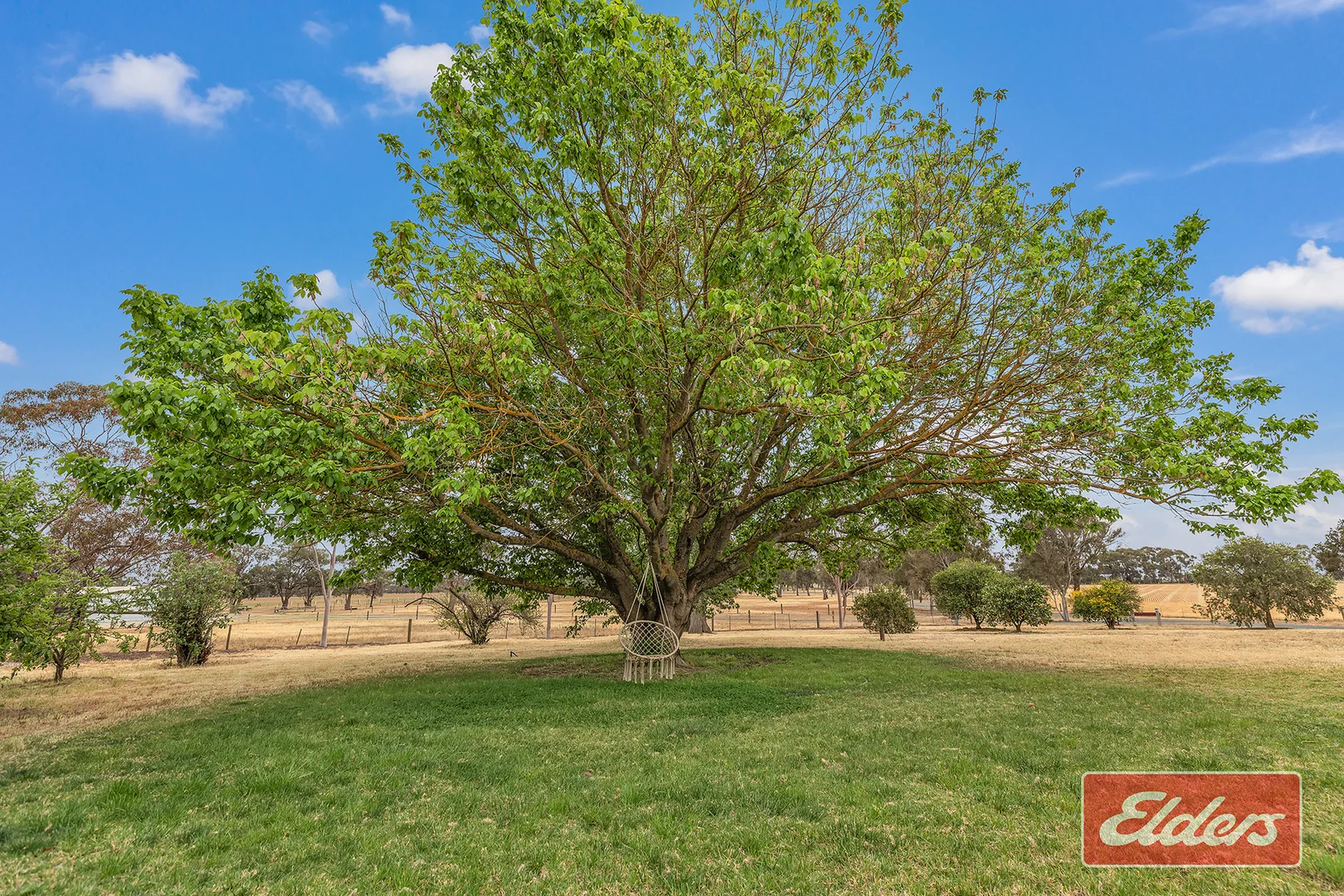 Additional image 27 of 937 Ham Road, Moama NSW 2731