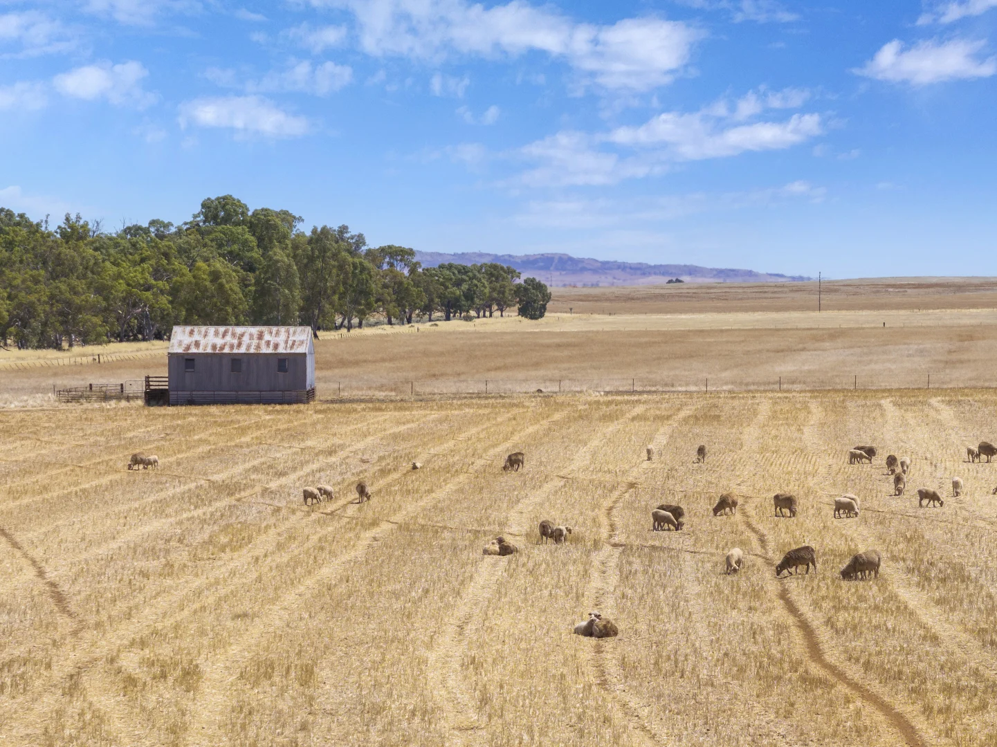 Additional image 5 of 'Klingers' Frost Road, Mannanarie SA 5422