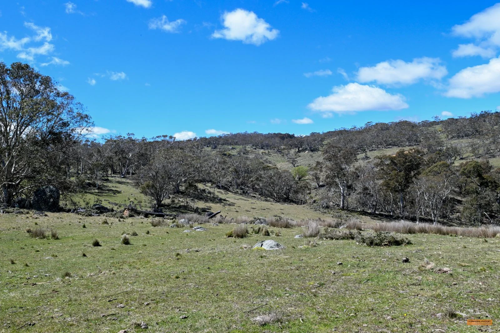 Additional image 27 of "King's Ridge" 698 Avonside Road, Avonside NSW 2628