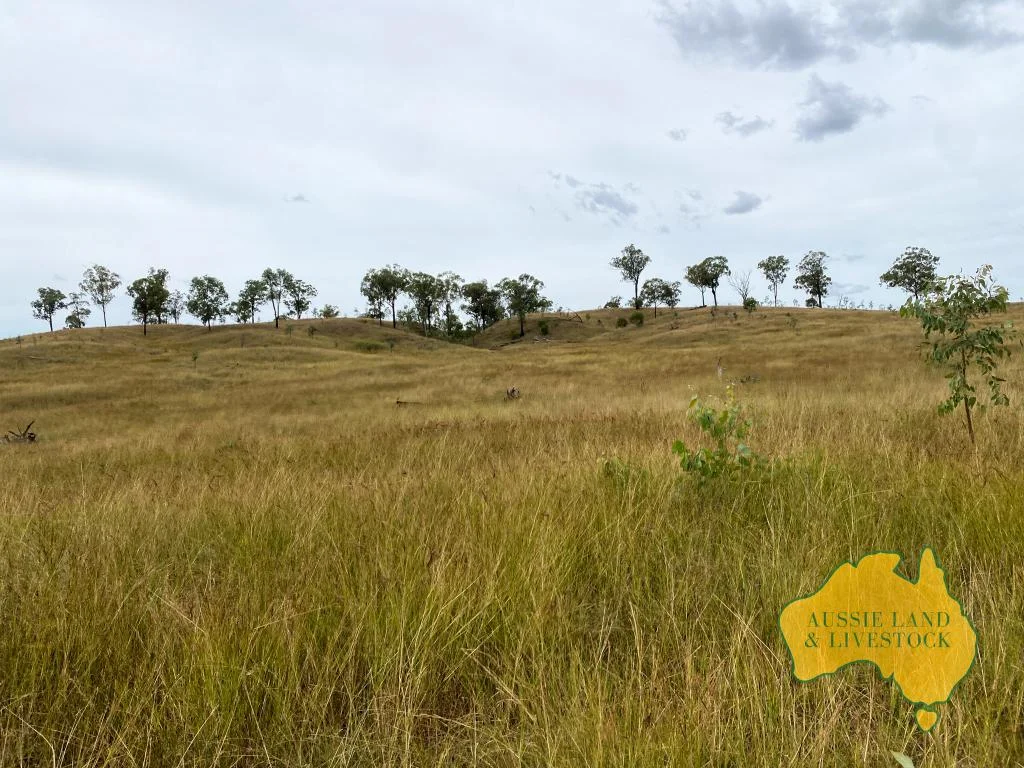 Additional image 24 of 2360 MONTO MOUNT PERRY ROAD, Yarrol QLD 4630