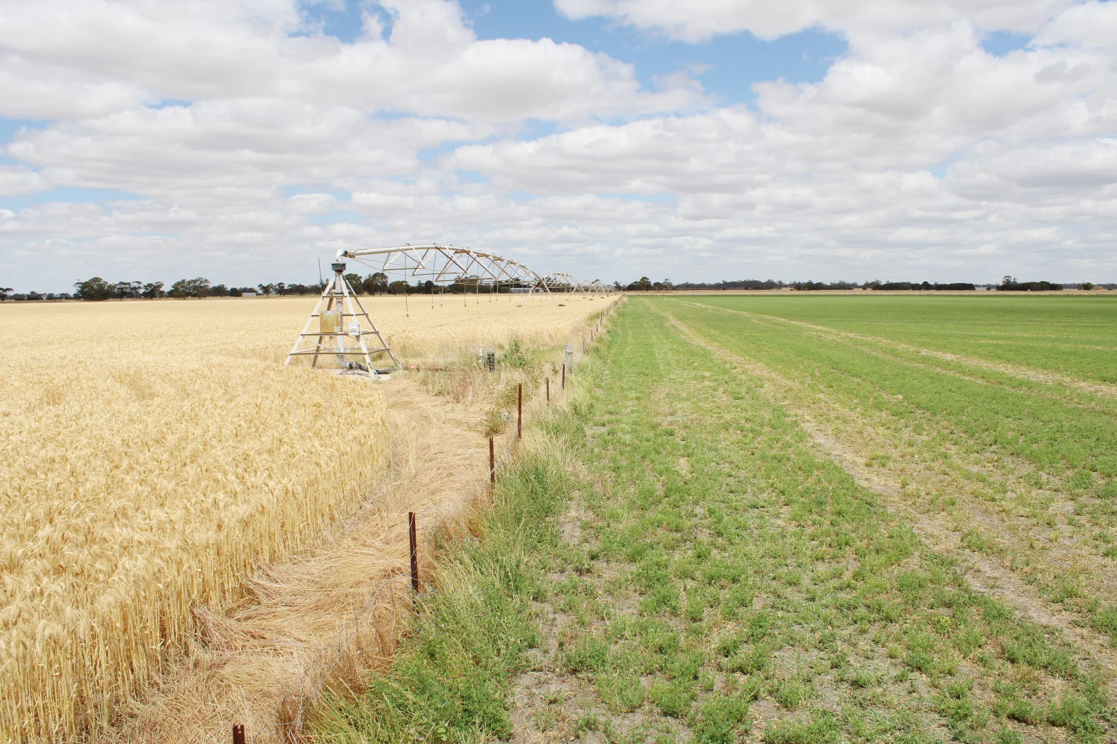 Additional image 3 of 405 Linfern Road, Buckingham Via, Mundulla SA 5270