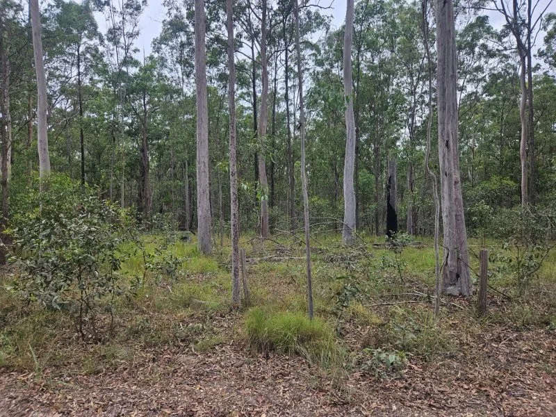 Additional image 20 of 0 Davis Road, Bauple Forest QLD 4650