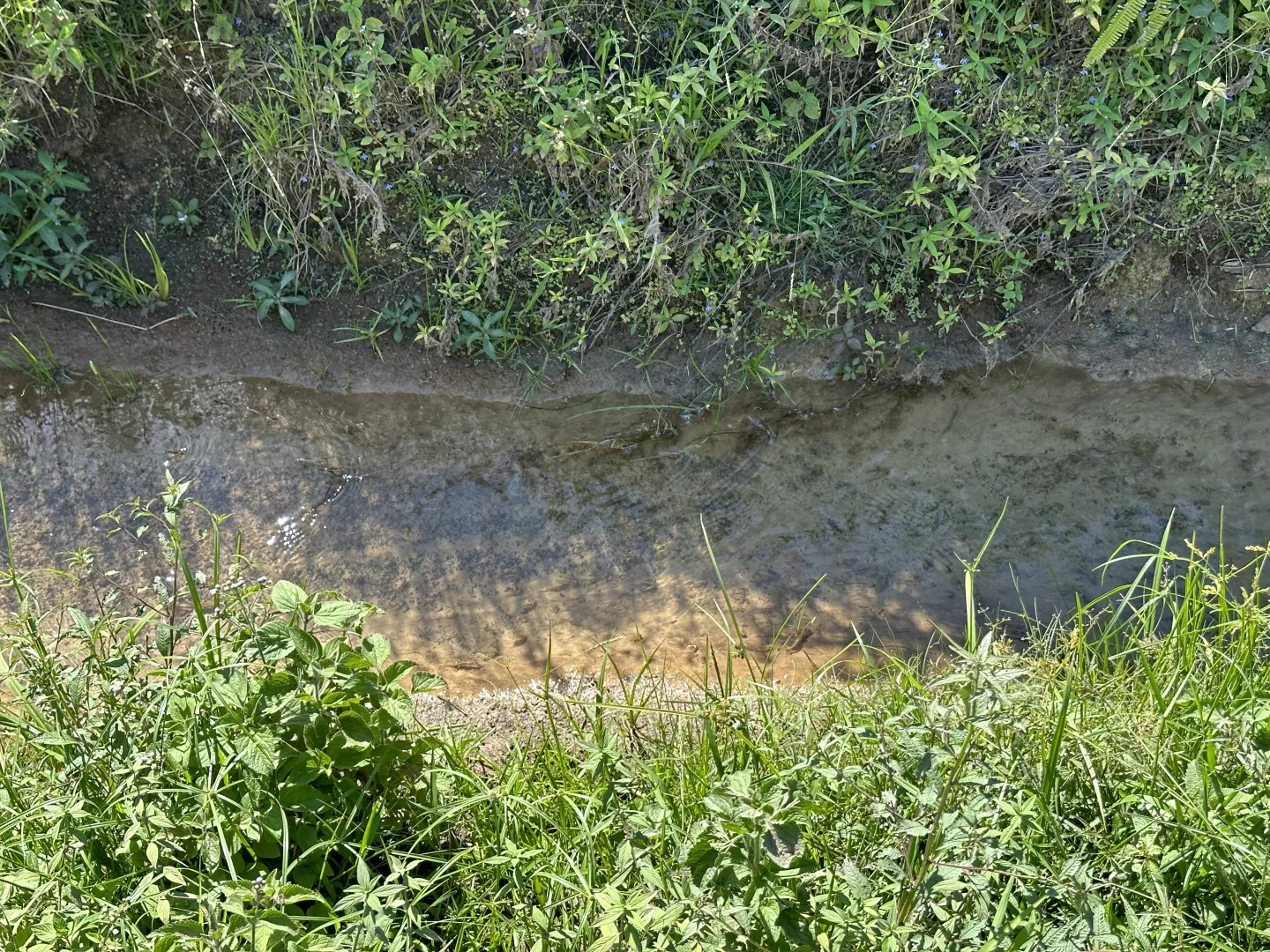 Additional image 9 of East Feluga QLD 4854