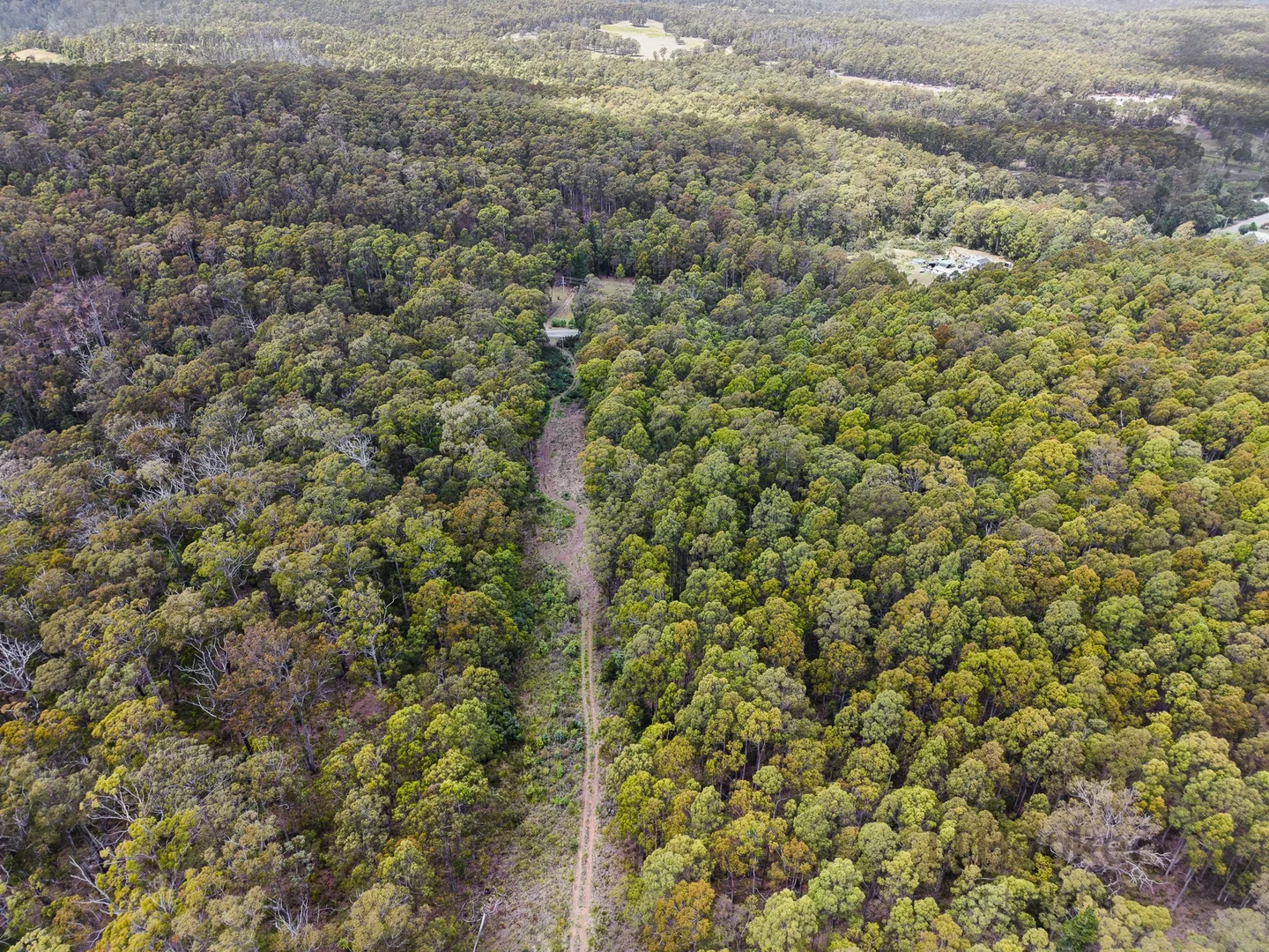 Additional image 13 of PID 6409528 Esk Main Road, St Marys TAS 7215