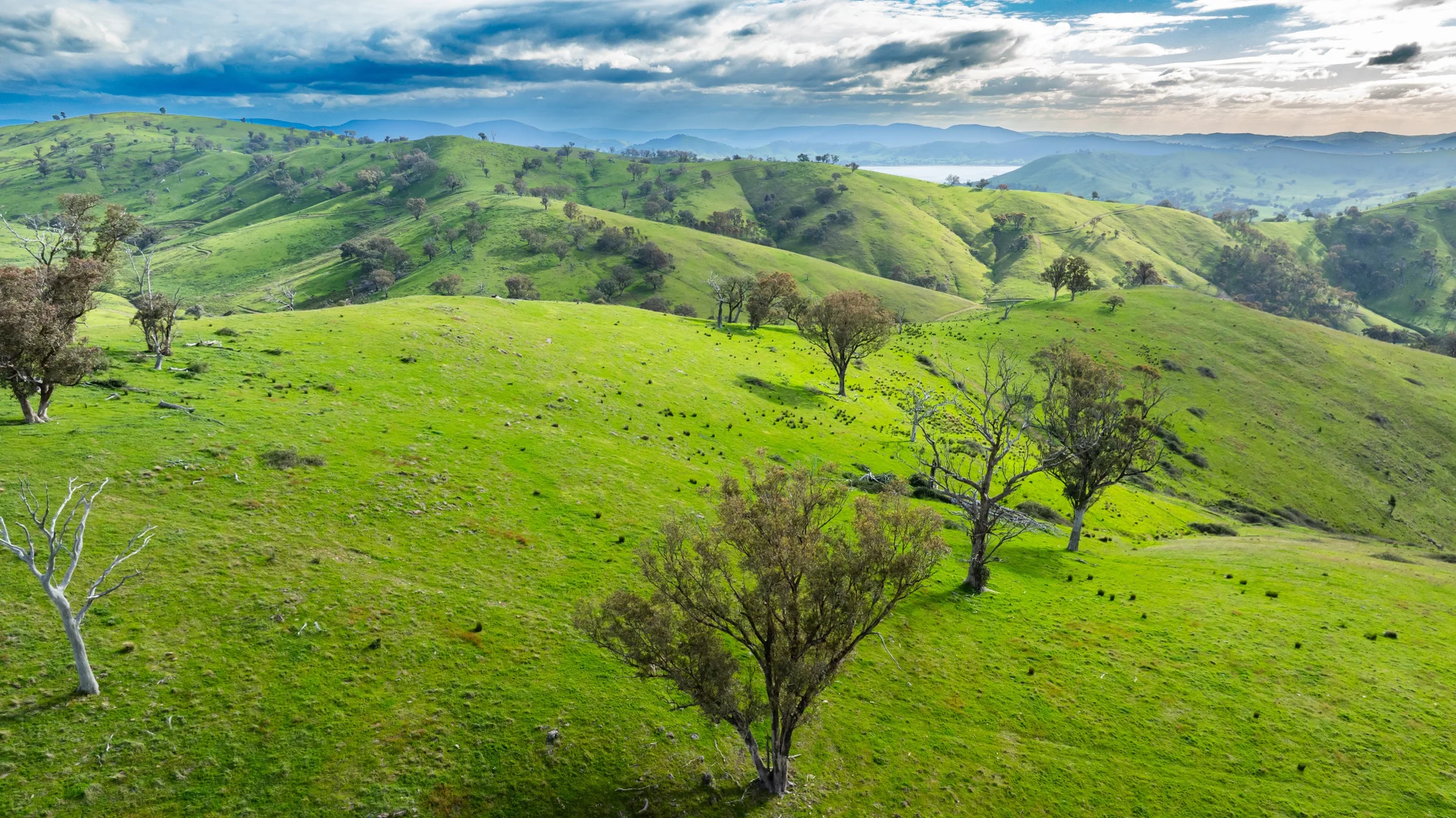 Additional image 6 of . Packers Road, Bethanga VIC 3691