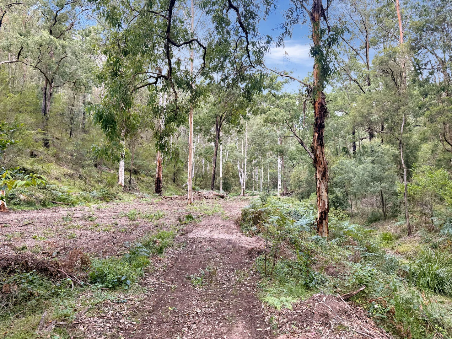 Additional image 17 of 946 Stockyard Creek Road, Paynes Crossing NSW 2325