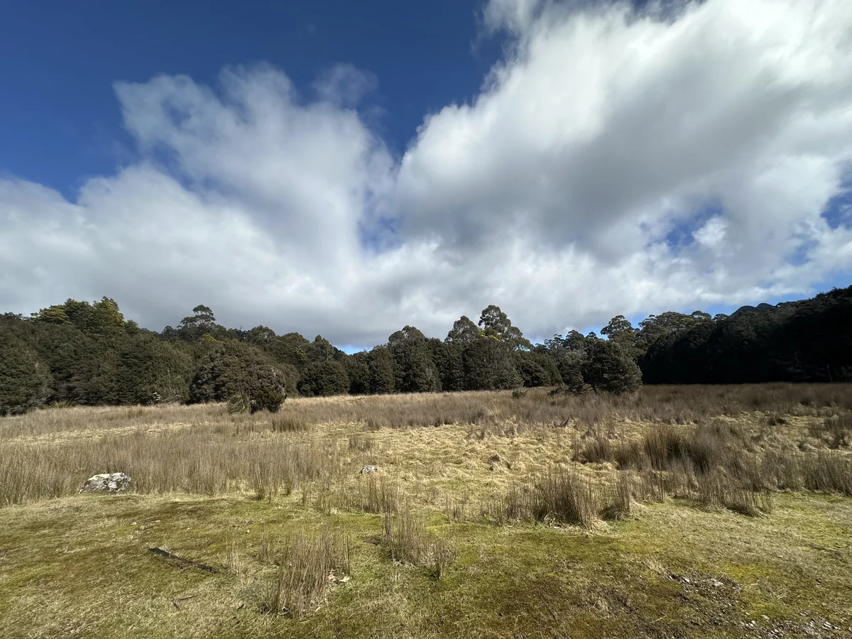 Additional image 17 of 12627 Highland Lakes Road, Golden Valley TAS 7304