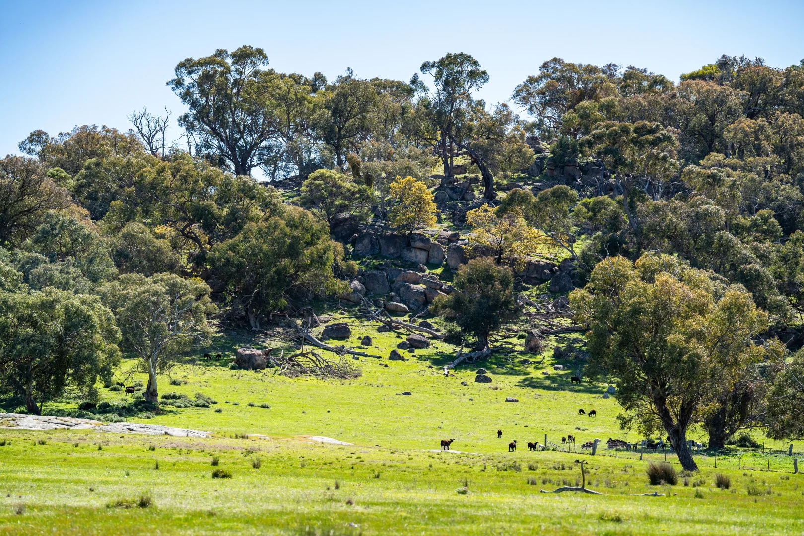 Additional image 21 of . Sanderson Road, Springhurst VIC 3682