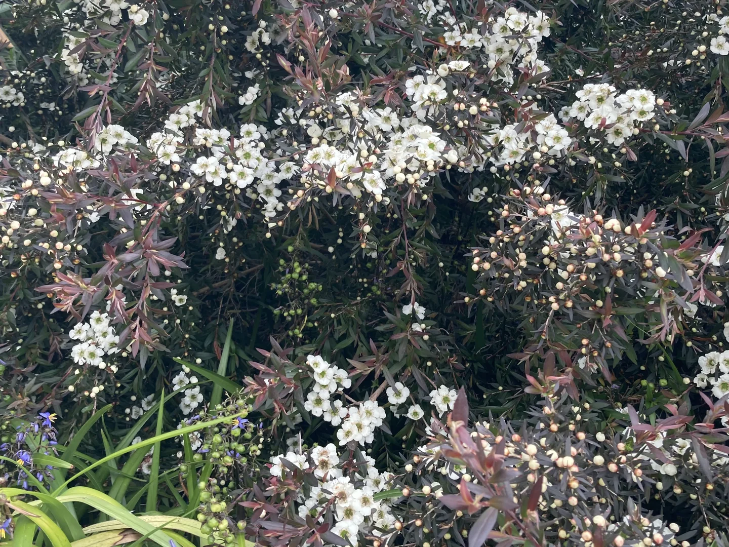 Additional image 31 of 211 Upper Scotchtown Road, Scotchtown TAS 7330